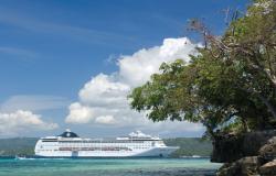 MSC Lirica - MSC Cruises - koupající se lidé, stromy na pobřeží a loď stojící v dálce